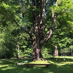 Meet your Posher, Mary-chris